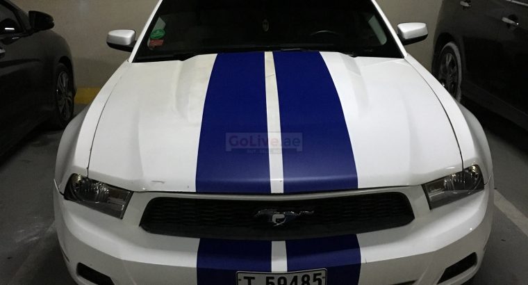 FORD MUSTANG PREMIUM EDITION !!!