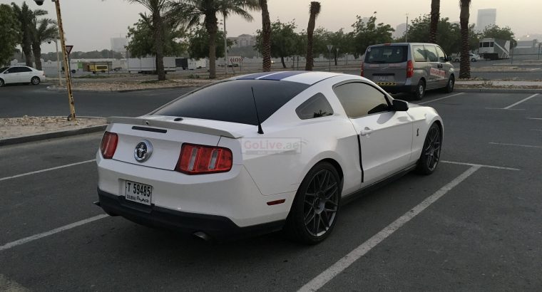 FORD MUSTANG PREMIUM EDITION !!!