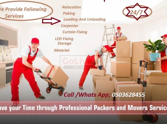 SMART MOVERS AND PACKERS 0503628455