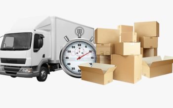 Ghelman Movers Cargo LLc