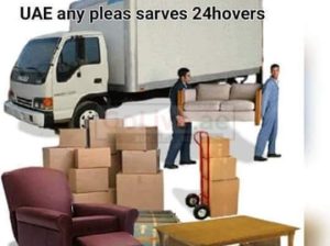 Professional movers and packers 80 AED Only