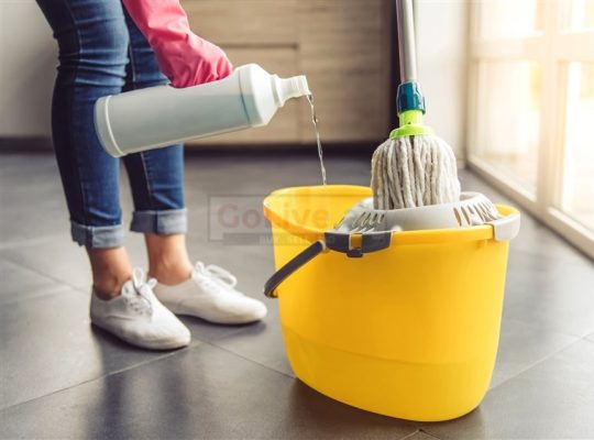 Full time live-in House Maid Available