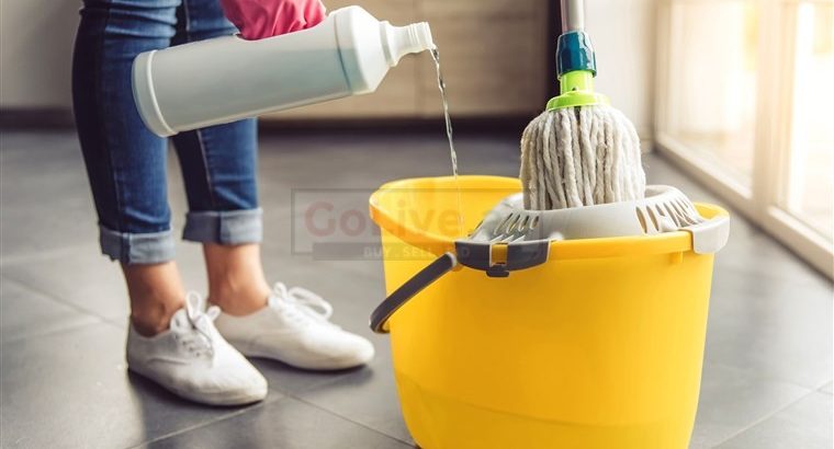 CLEANING WORK