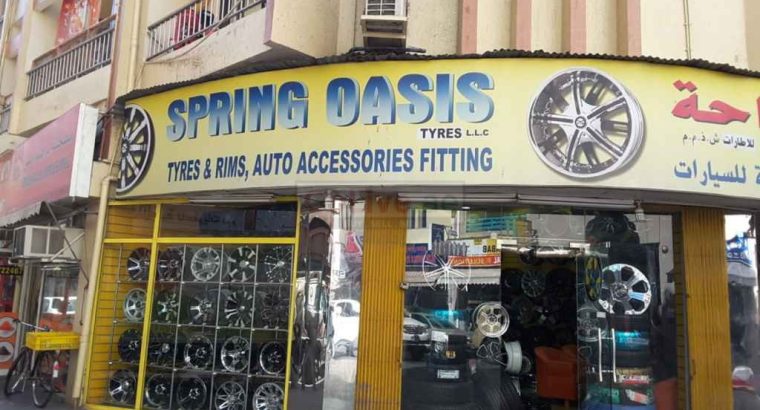 Spring Oasis Tyres