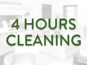 Cleaning is easy for just 99/-