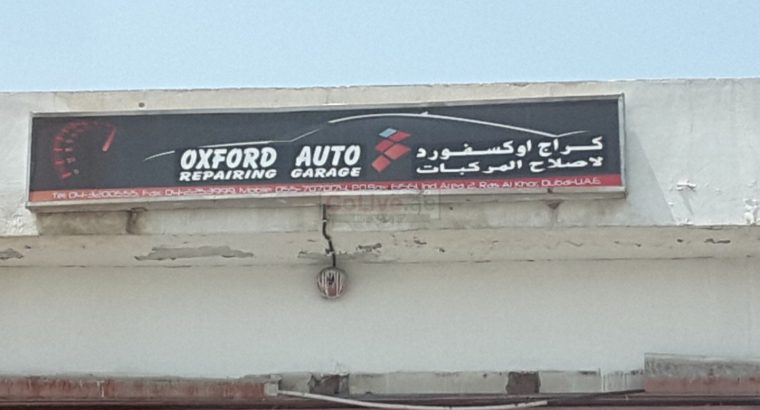 Auto Zone Garage