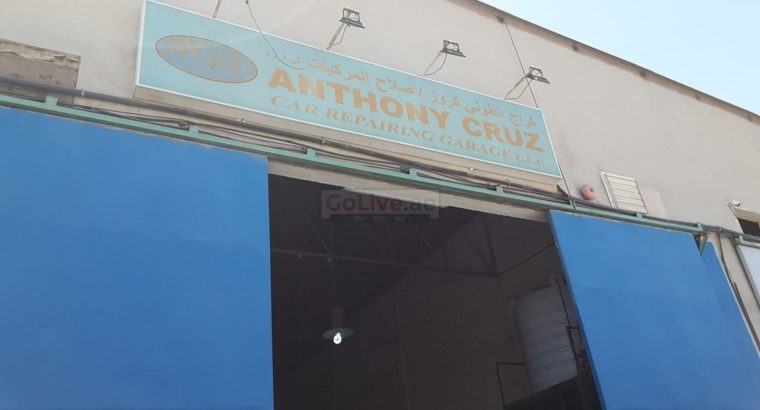 Anthony Cruz Car Repairing Garage