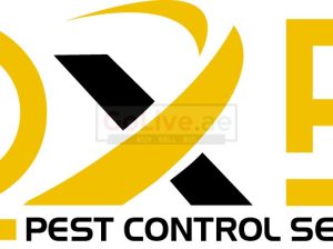 DXB Pest Control Service