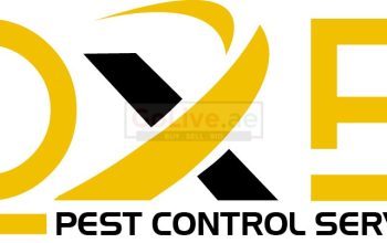 DXB Pest Control Service