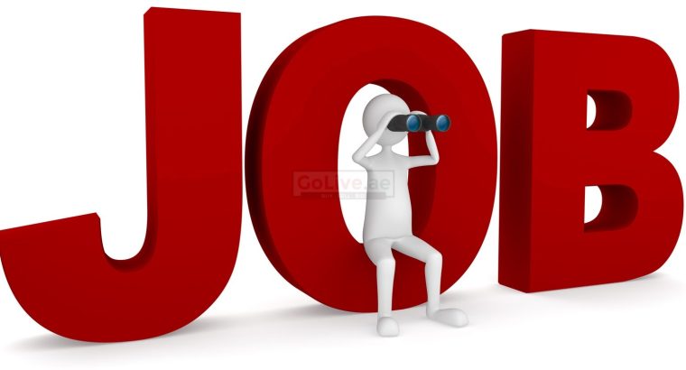 Looking for Part time job as Housemaid
