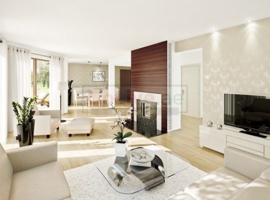 Deep cleaning service for home or office