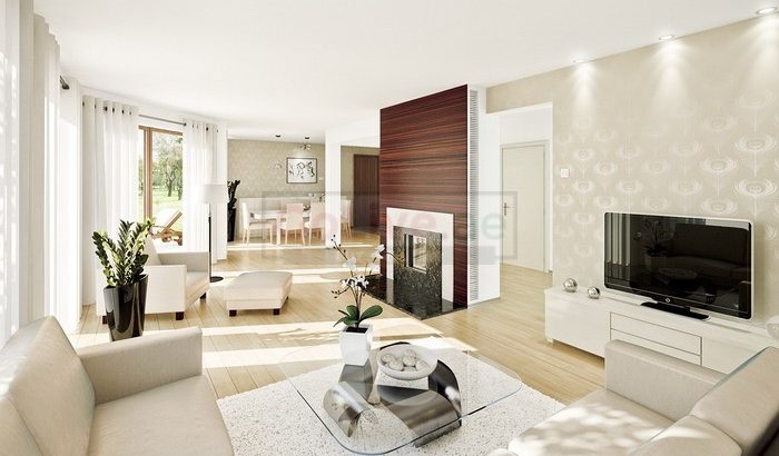 Deep cleaning service for home or office