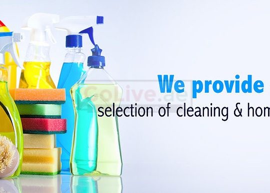 Maids services