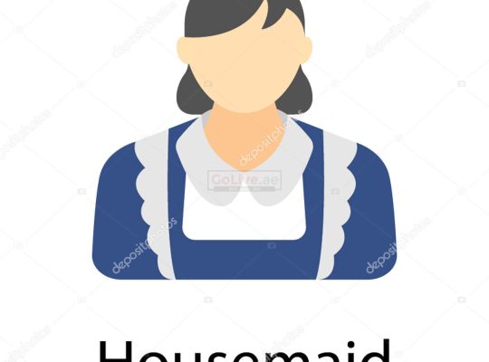 We Providing Housemaids with experience, Training well.
