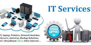 Internet and Wifi extension.IT repair service