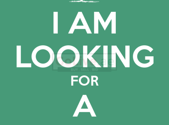 Looking For Maid Job