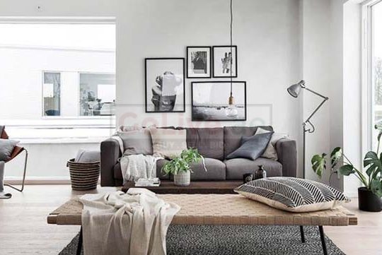 Interior Design, Fit out and maintenance