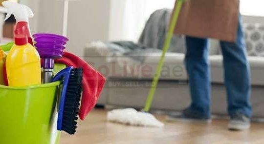 Part Time Cleaners