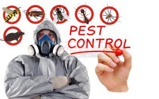 Pest control and Maintanence Work