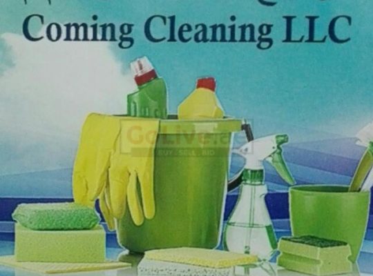 maid Services for as low as 25/hour