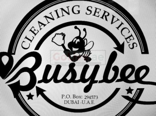 General Domestic help
