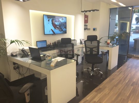 X Car Rental