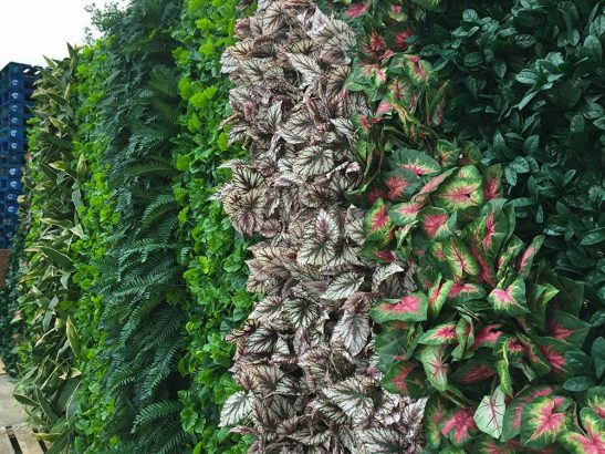 DUBAI GARDEN and LANDSCAPING