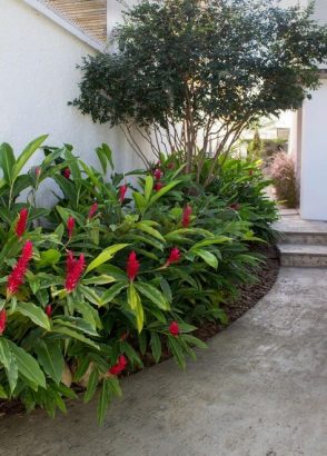 DUBAI GARDEN and LANDSCAPING