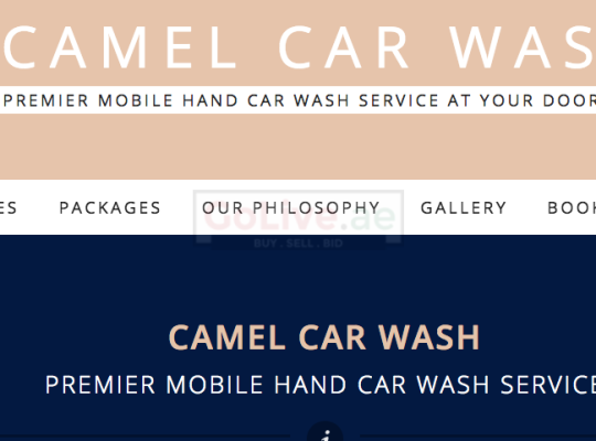 Camel Car Wash