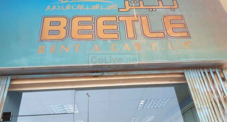 Beetle Rent A Car