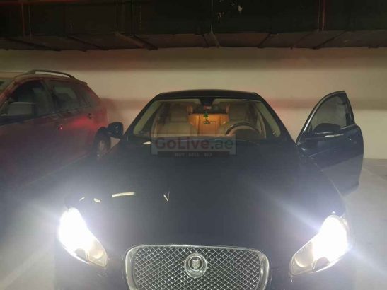 Jaguar for sale