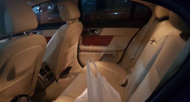 Jaguar for sale