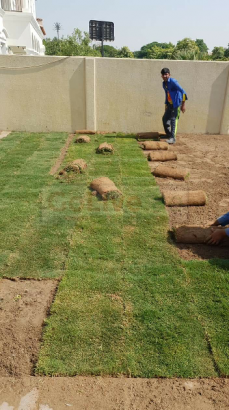General Maintenance and Gardens Services:0568826897