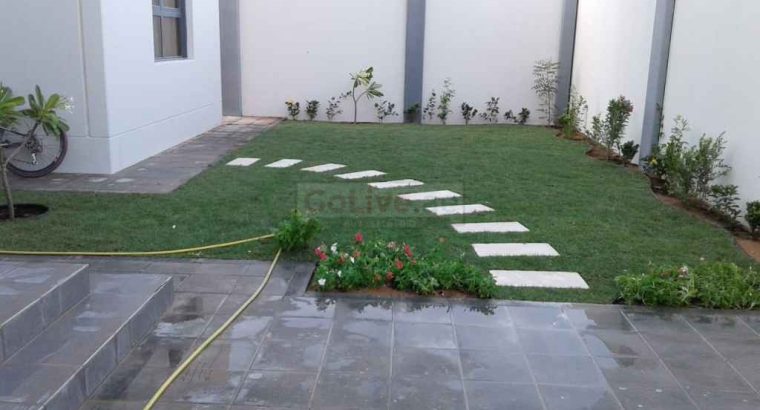 Landscaping and Gardening