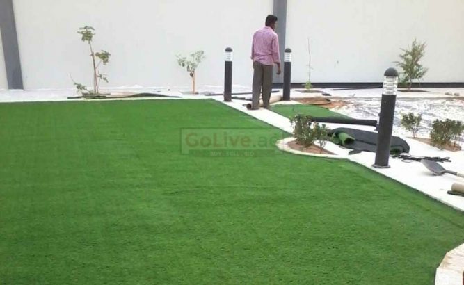 Landscaping and Gardening