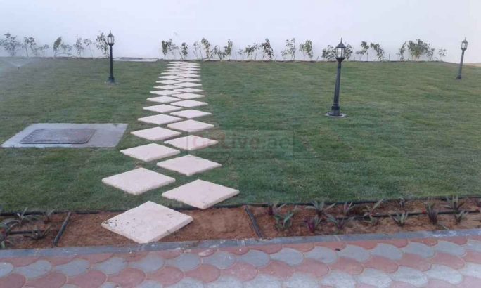 Landscaping and Gardening