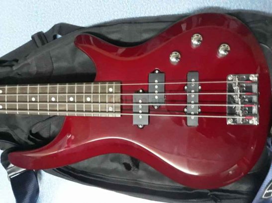 Bass guitar (washburn wb44) for sale