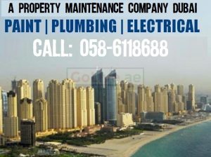 Al Shiba Technical Services LLC Dubai Call 0586118688 Mr Nawaz
