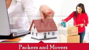 Movers And packers in dubai 0559030096