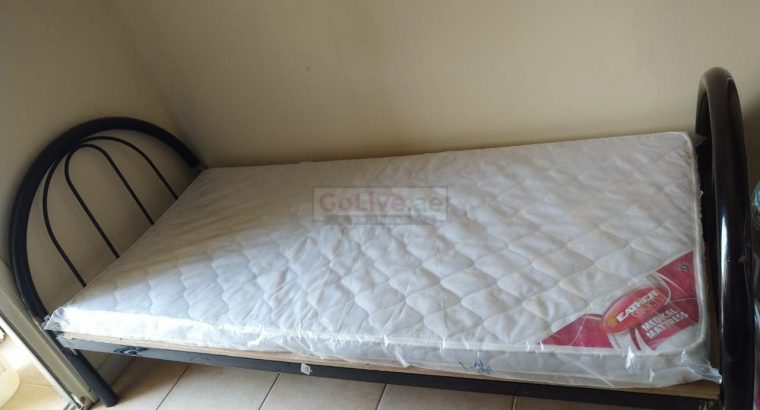 BED SPACE FOR LADIES / ROOM at 700/-