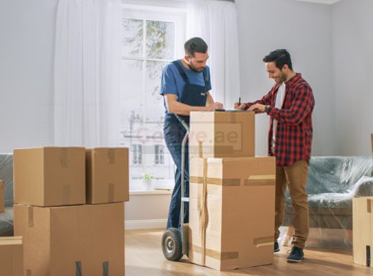 Best Movers in Dubai