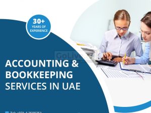 Need Accounting and Bookkeeping services
