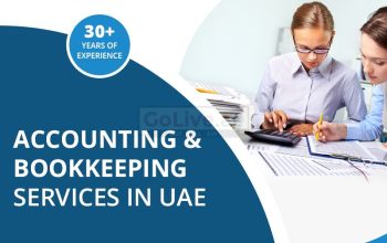 Need Accounting and Bookkeeping services