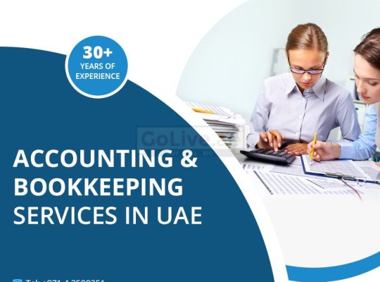 Need Accounting and Bookkeeping services