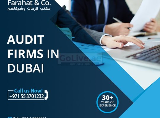Looking for Audit Services in Dubai Call us 042500251