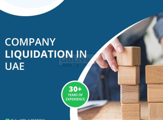 Need to Liquidate a Company – Company Liquidation in Dubai