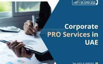 Outsource your PRO services in Dubai