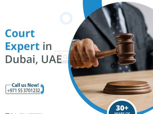 Court Expert in Dubai | Expert Witnesses