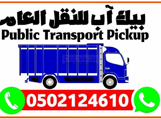 Pick-up 3 ton Taxi