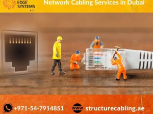 Professional Network Cabling Services in Dubai